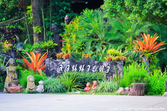นายดำ